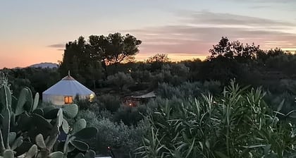 Country House 'Yurta Mongola Delta Del Ebro' with Sea View, Shared Pool and Wi-Fi