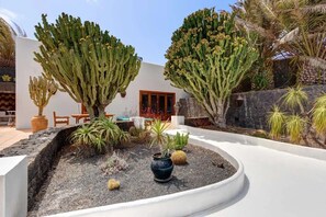 Une cour intérieure agrémentée de grands cactus, d’un mur en pierre et d’un chemin blanc.