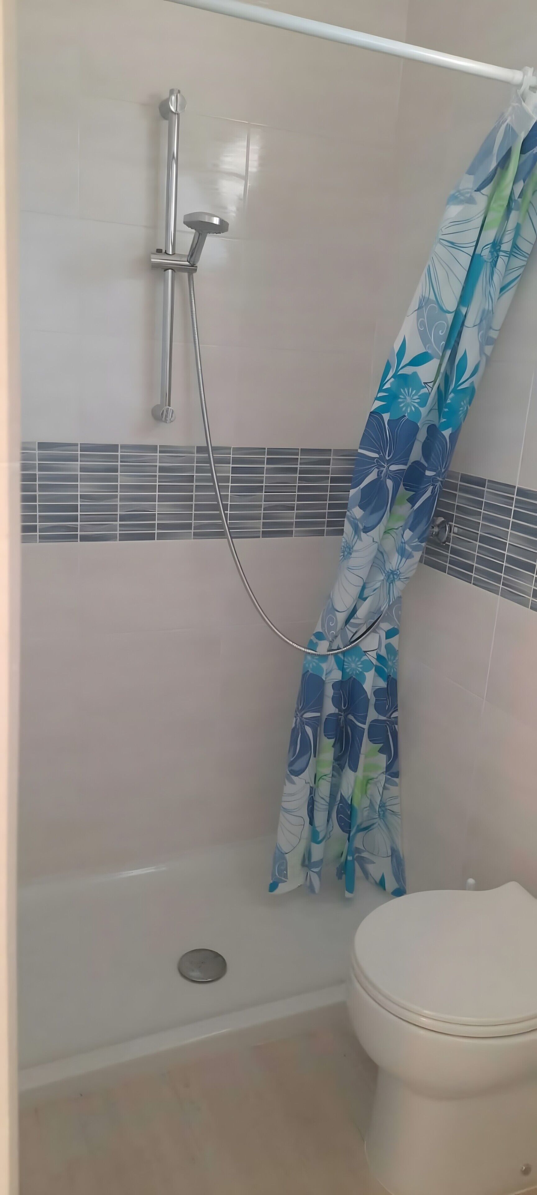 A shower area with a showerhead, a curtain, and a toilet.