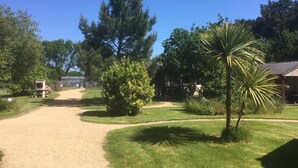 A gravel path leading to a building surrounded by trees and a palm tree.