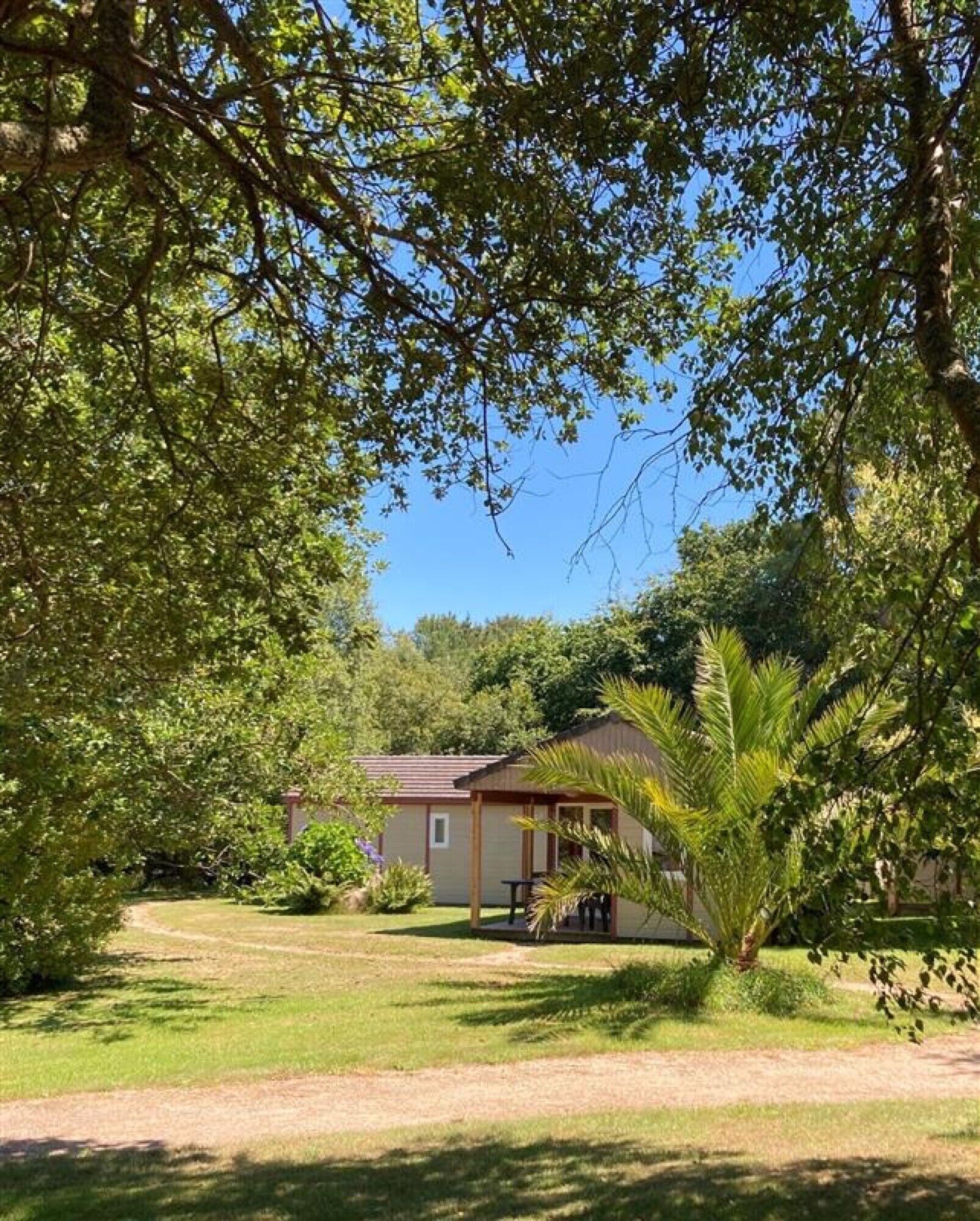 A single-story building with a patio area, surrounded by lush greenery and trees.