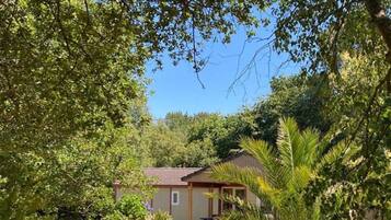 A single-story building with a patio area, surrounded by lush greenery and trees.