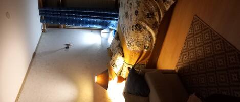 電視、DVD 播放機、音響