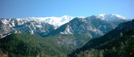 Imagen general