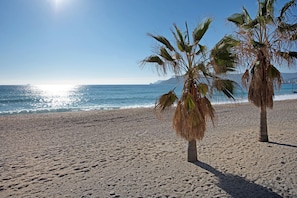 Una playa con arena y palmeras.