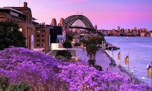 Vista sull'acqua con un ponte imponente, una passeggiata e alberi in fiore viola.