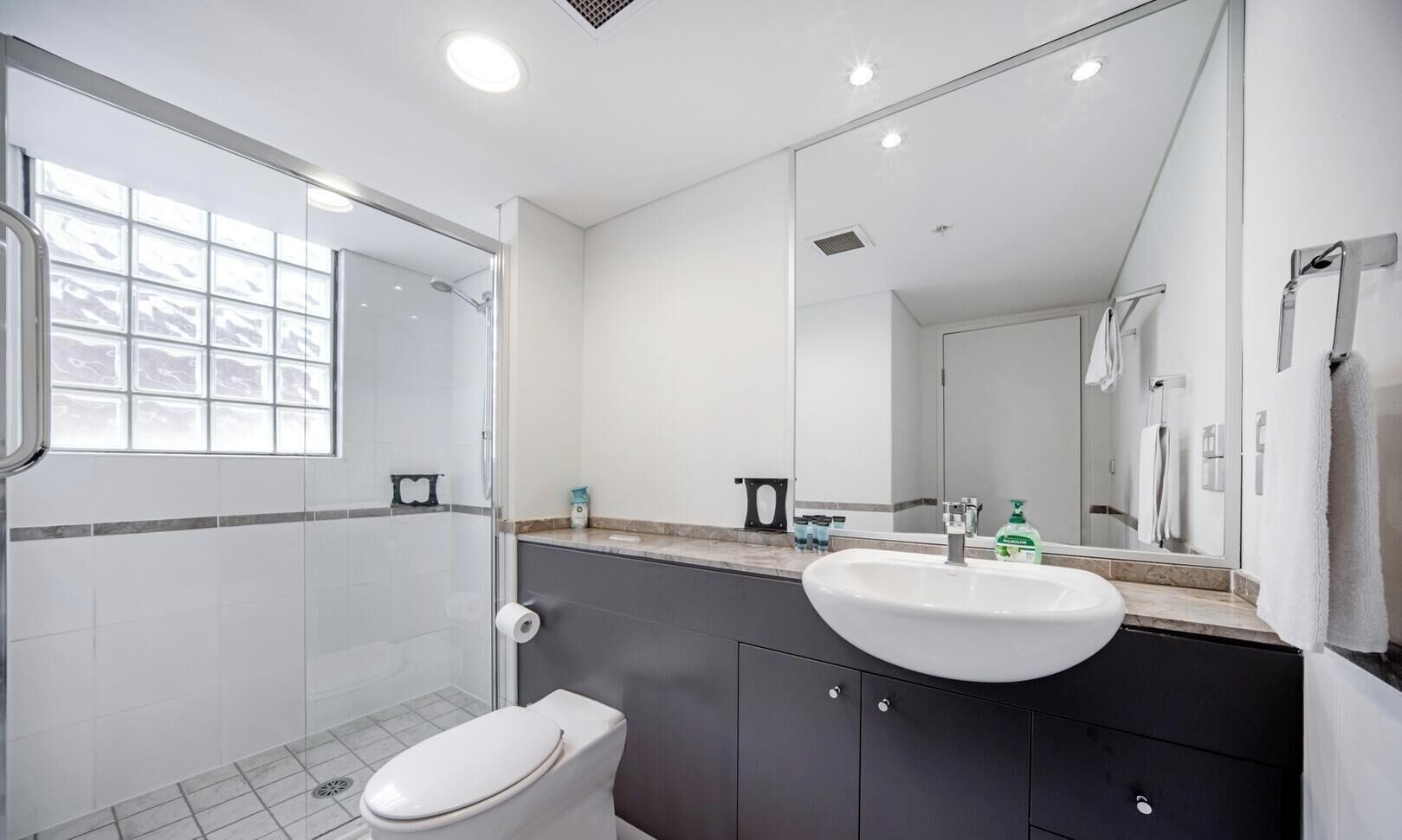 A modern bathroom with a glass shower enclosure, a white toilet, a vanity with a sink, and a large mirror.