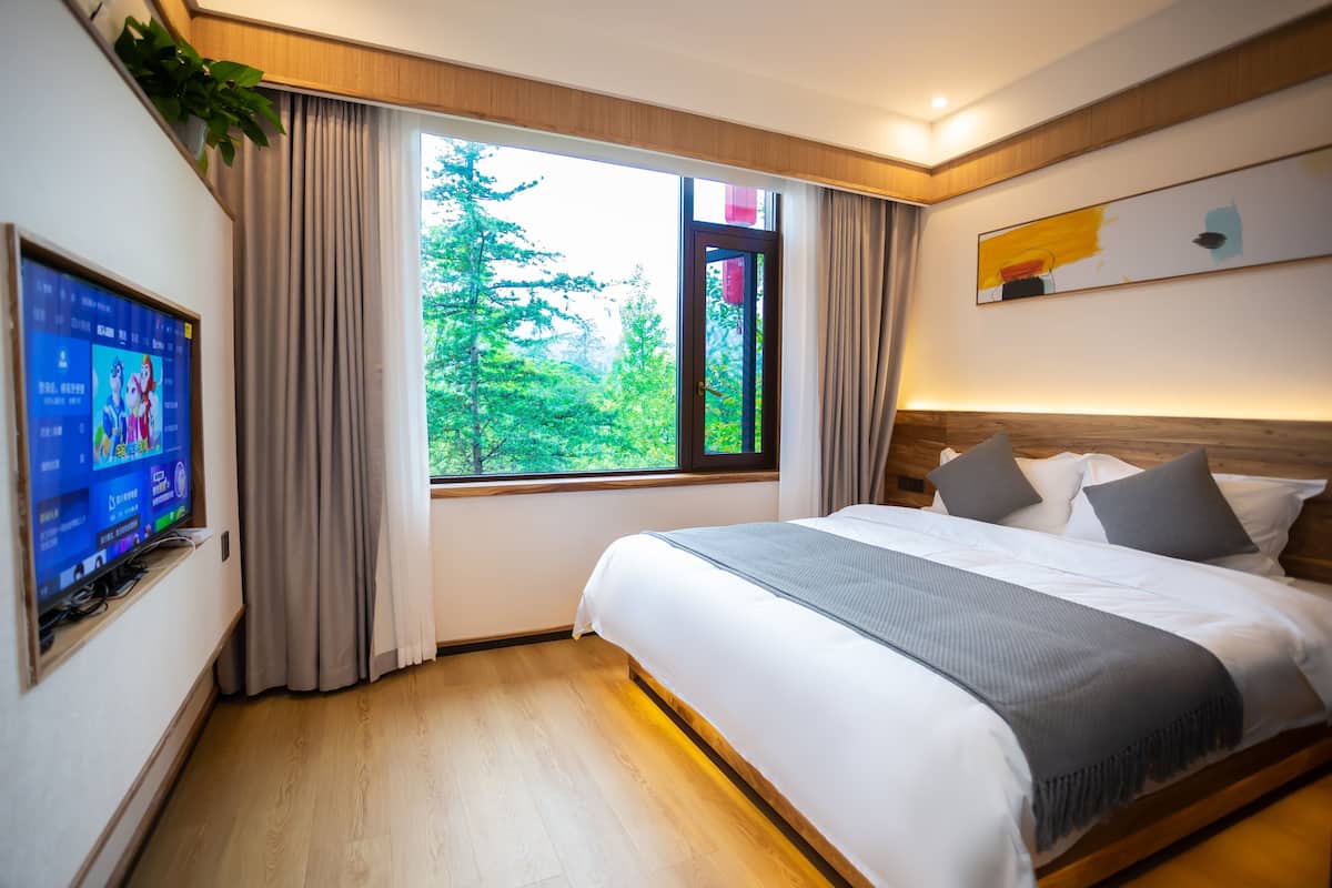 Habitación de hotel con una cama grande, un televisor en la pared, una ventana con vistas a árboles y un cuadro en la pared.