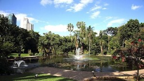 Een park met een vijver, fonteinen en palmbomen.