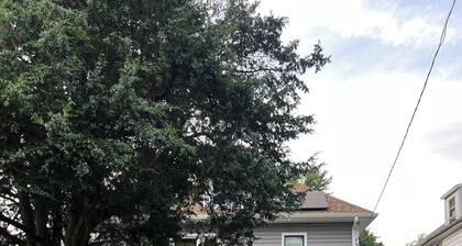 Charming 3-bedroom house with WiFi and AC in Hartford