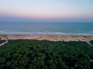 An aerial view of a beach with a dense forest in the foreground and a clear view of the ocean.