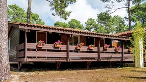A wooden cabin with a balcony, surrounded by trees. - Les Sentes by Interhome (Maubuisson)