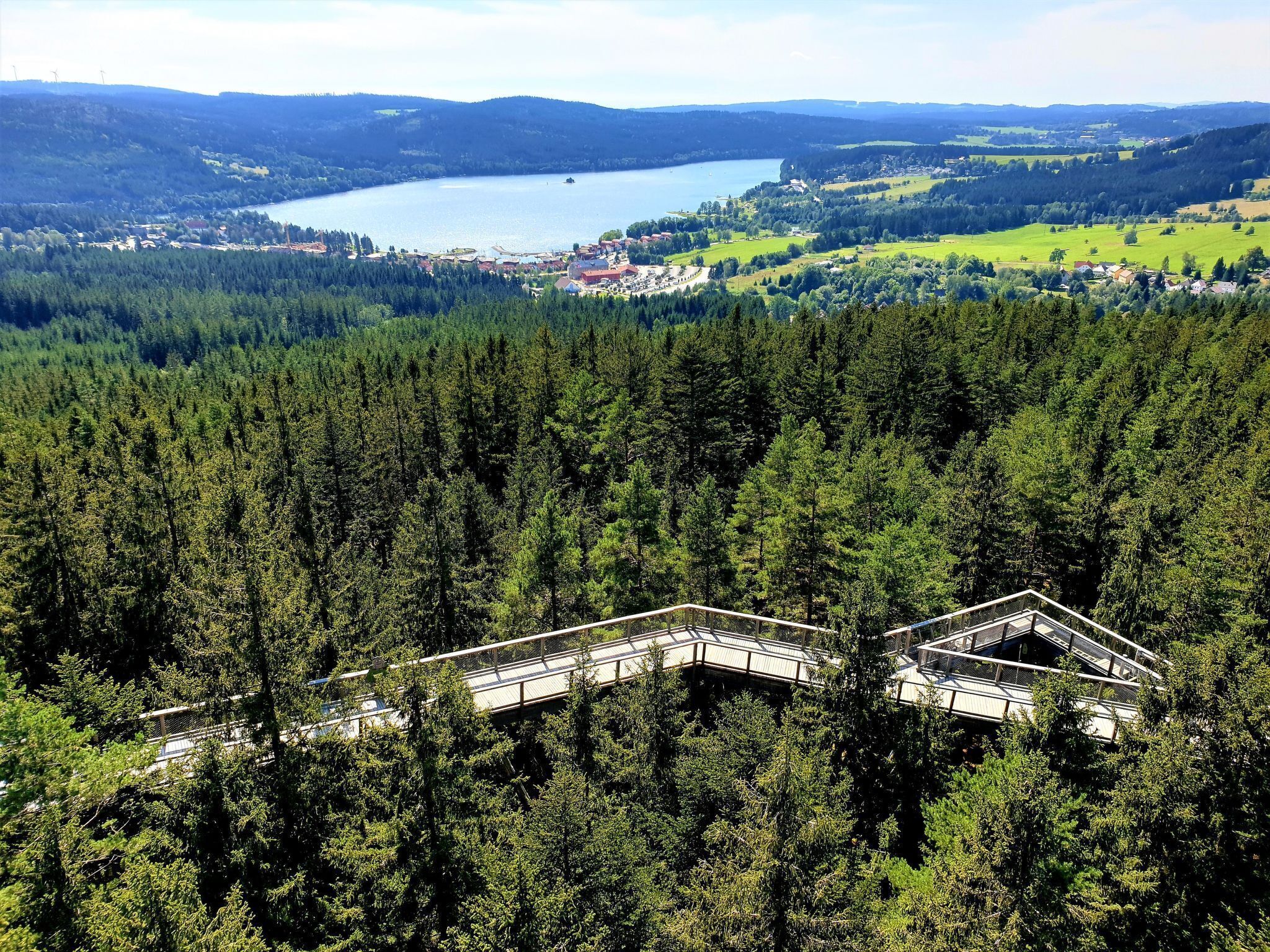 A forested area with a bridge and buildings in the background.