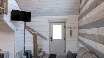 Smart TV, fireplace, books
