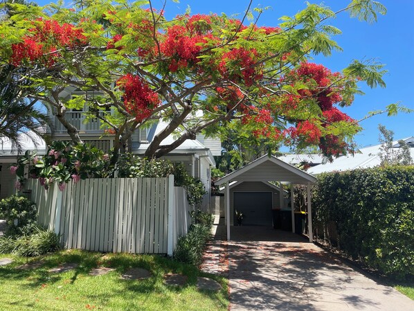 Property grounds - Bryon's secret hideout studio (Byron Bay)