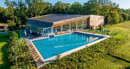 GĂźte de Charme avec Piscine