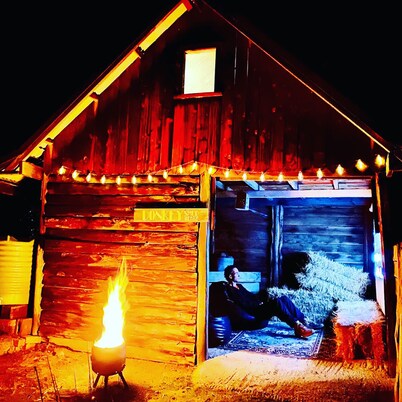 Poet's Ode - featuring the Donkey Shed Movie Theatre