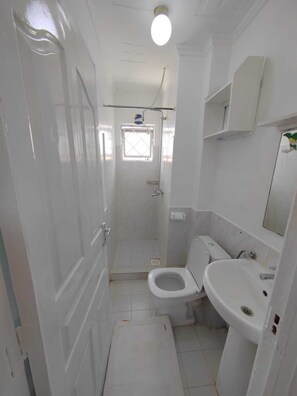 Een douche, een haardroger, een bidet, handdoeken