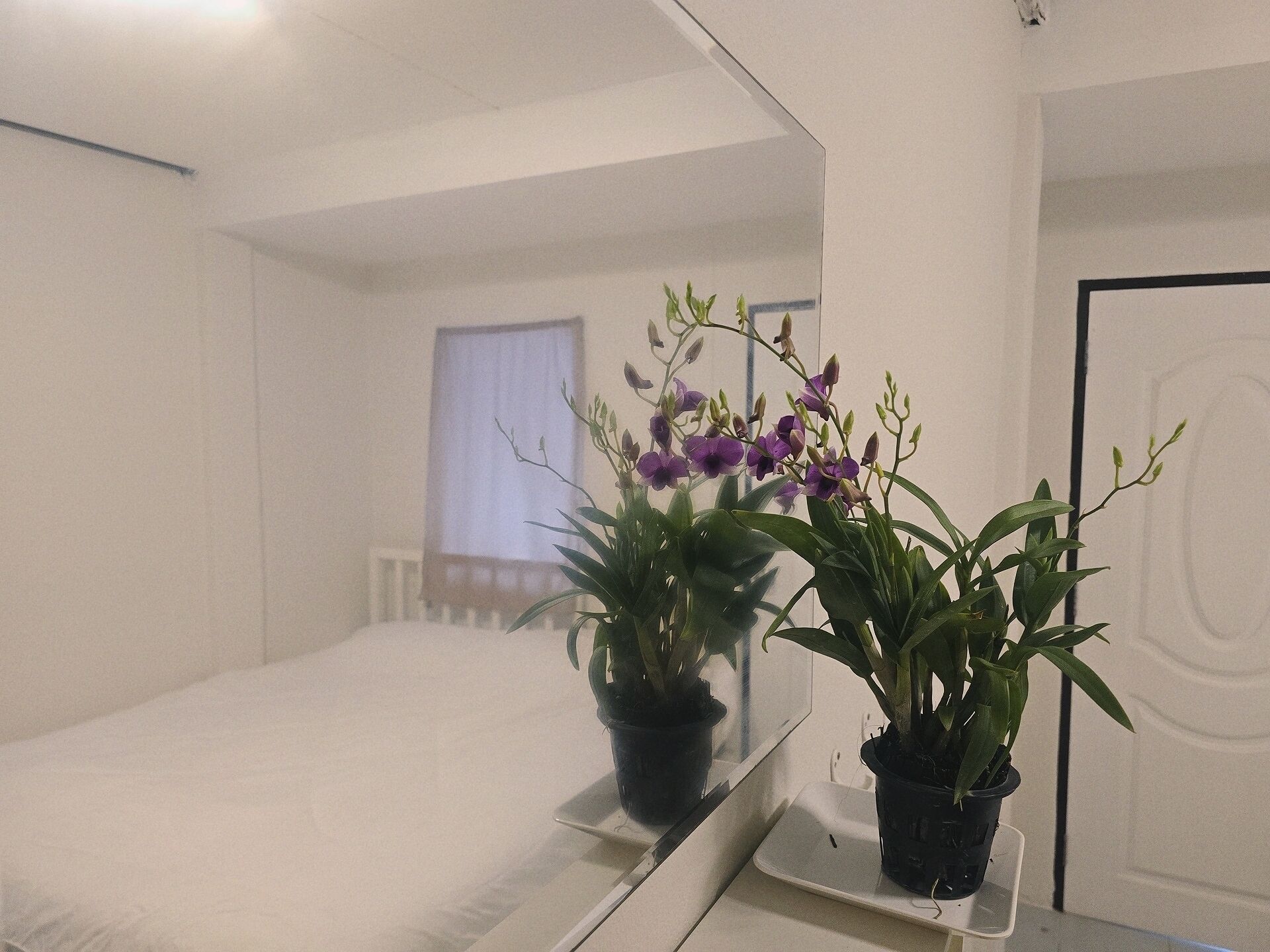 Photo - Baan Puen Poonsuk