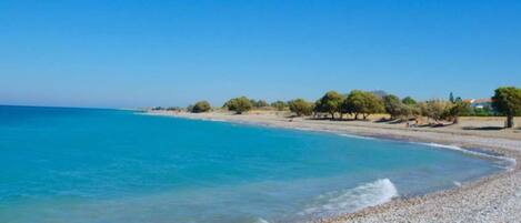 بالقرب من الشاطئ