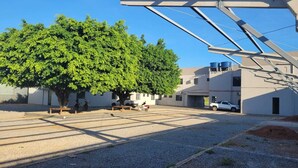 Ein Parkplatz mit einem großen Baum, einem weißen Auto und einem Gebäude mit grauem Mauerwerk.