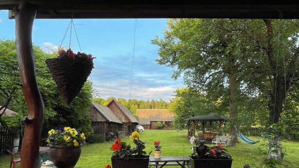A wooden deck with potted plants and a hanging flower basket.