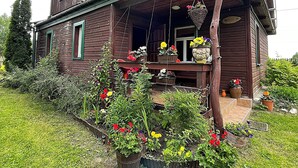 A wooden house with a porch, surrounded by a garden with various potted plants and flowers.