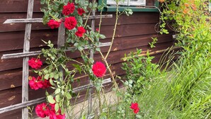 A wooden house with a climbing rose plant supported by a wooden trellis.