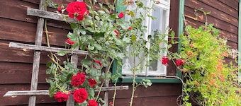 Dom na skraju Puszczy Białowieskiej. Miejsce relaksu, przestrzeń na wyłączność.