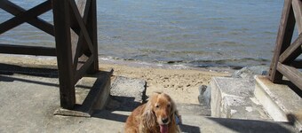 MER à 3mn,,personnalisé,,séjour Avec VOS Compagnons de vie !