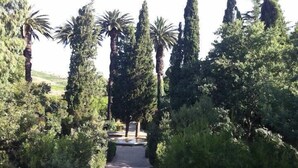 A pathway flanked by neatly trimmed hedges and tall trees, leading to a building. - Appartement vue mer Entre Collioure et Cadaquès (Cerbère)