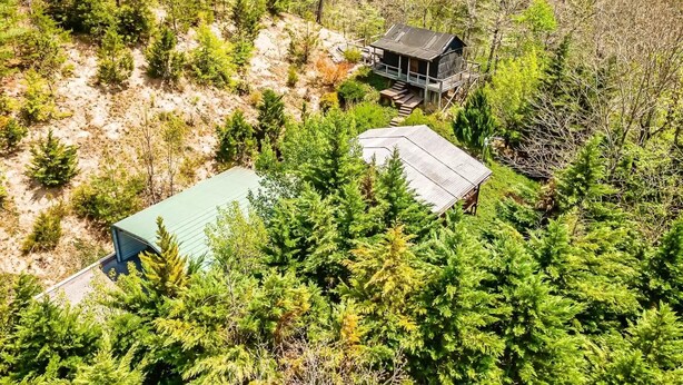 Une cabane entourée d’une forêt dense, offrant une vue dégagée sur les arbres environnants et dotée d’une petite terrasse.