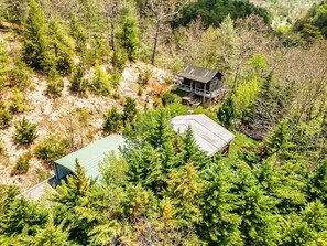 A cabin surrounded by dense forest, with a clear view of the surrounding trees and a small deck area. - Tiny Hidden Gem, WIFI, Hot tub, Fire pit, Secluded
(Cosby)