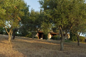 Exterior - Quinta for your summer and winter vacations (Tunes)