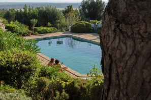 Alberca al aire libre 