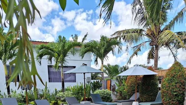 A rectangular swimming pool with lounge chairs and umbrellas, surrounded by lush greenery and palm trees. - Bonewood Guesthouse (Canggu)