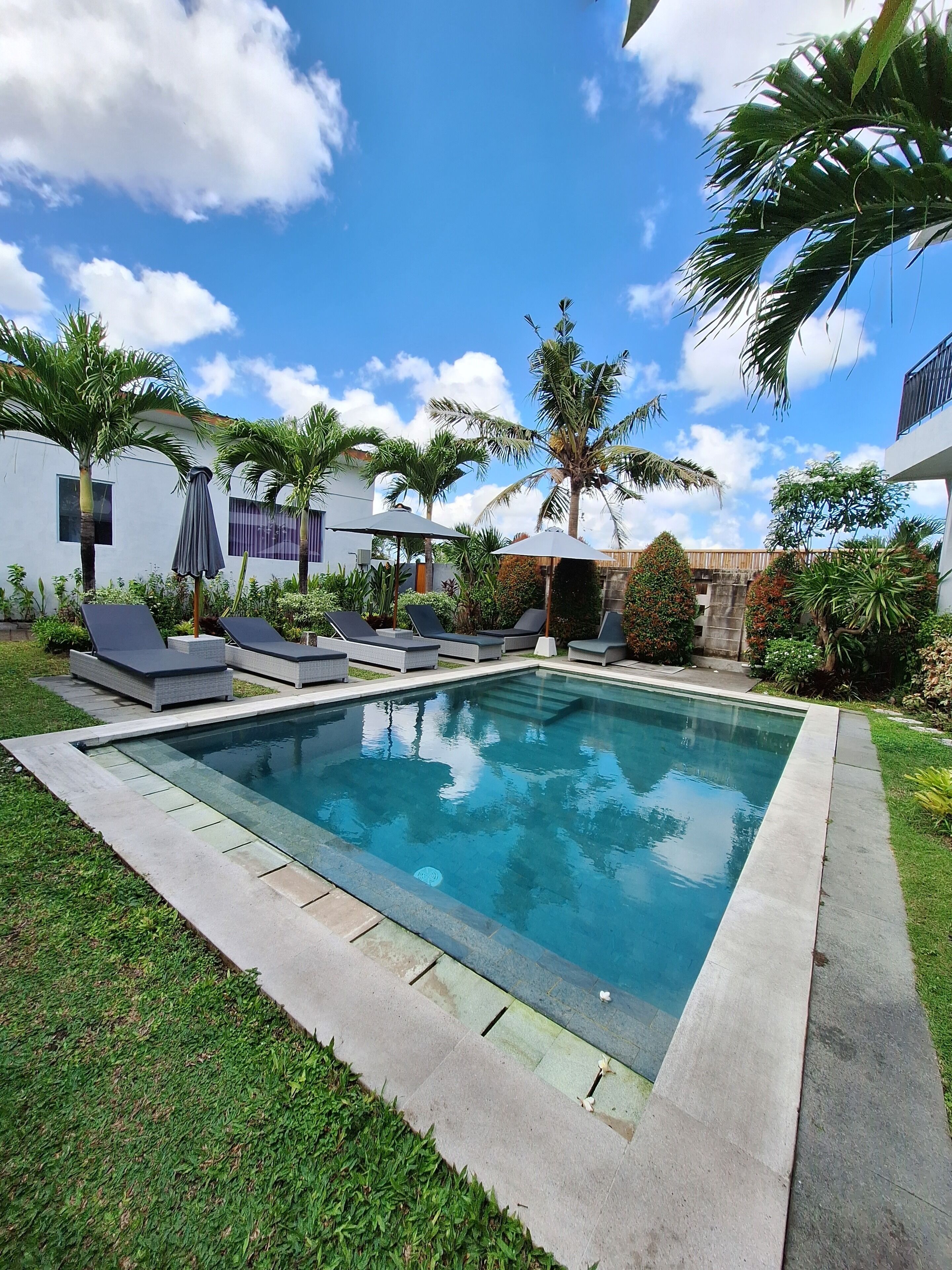 Una piscina rectangular con sillas de descanso y sombrillas, rodeada de palmeras y un césped cuidado.