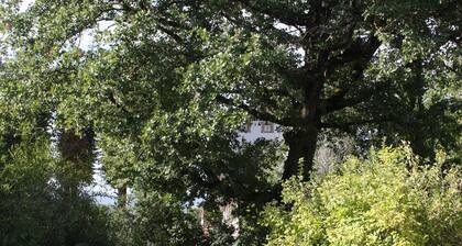 Cozy apartment in country home a few km from Arezzo