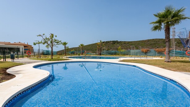 Une piscine à bord incurvé, entourée d’une terrasse en béton et de palmiers.