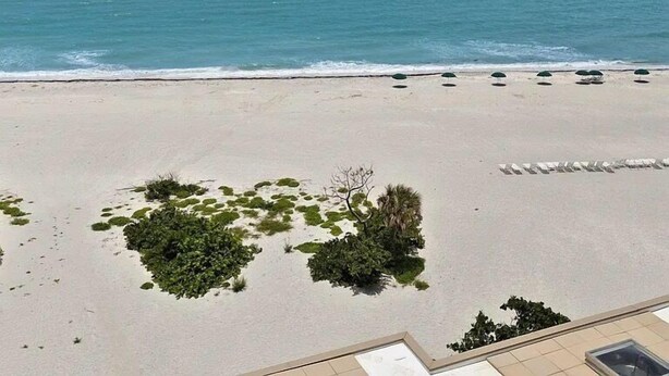 A beach with a clear view of the ocean, a sandy shore, and some greenery. - Beachfront Sanibel Escape – Steps to Sand & Sunset Views (Sanibel)