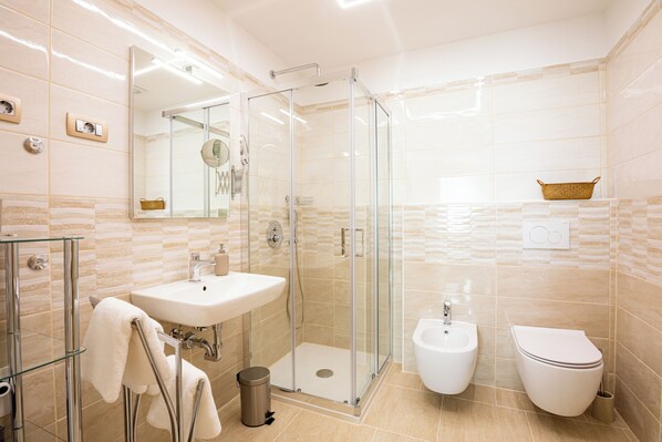 Shower, hair dryer, bidet, towels