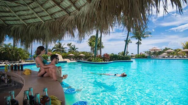 A pool area with a thatched roof, lounge chairs, and a bar with bottles. - Lifestyles (Puerto Plata)