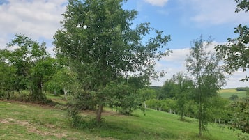 Área da propriedade