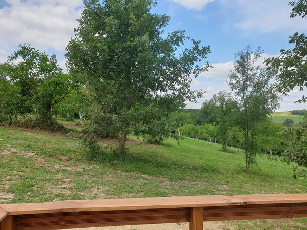 Parco della struttura