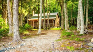 A cabin surrounded by tall trees, with a gravel path leading to it. - Lake front, hot tub, kayak, paddle board, Dogs, Mount Desert Island, Bar Harbor! (Mariaville)