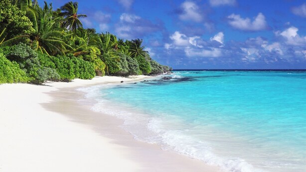 En strand med hvidt sand, turkis vand og frodig vegetation.