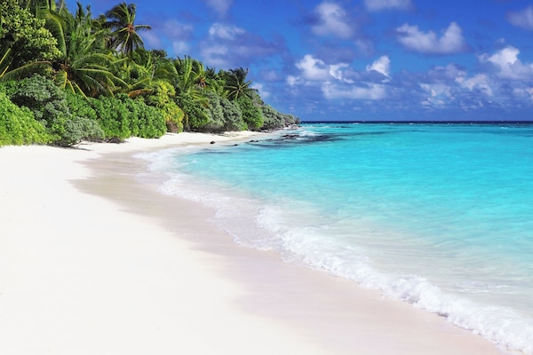 Nær stranden og hvit sand