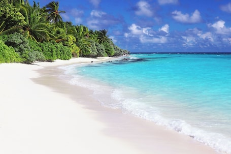 Beach nearby, white sand. Hakuna Maldives