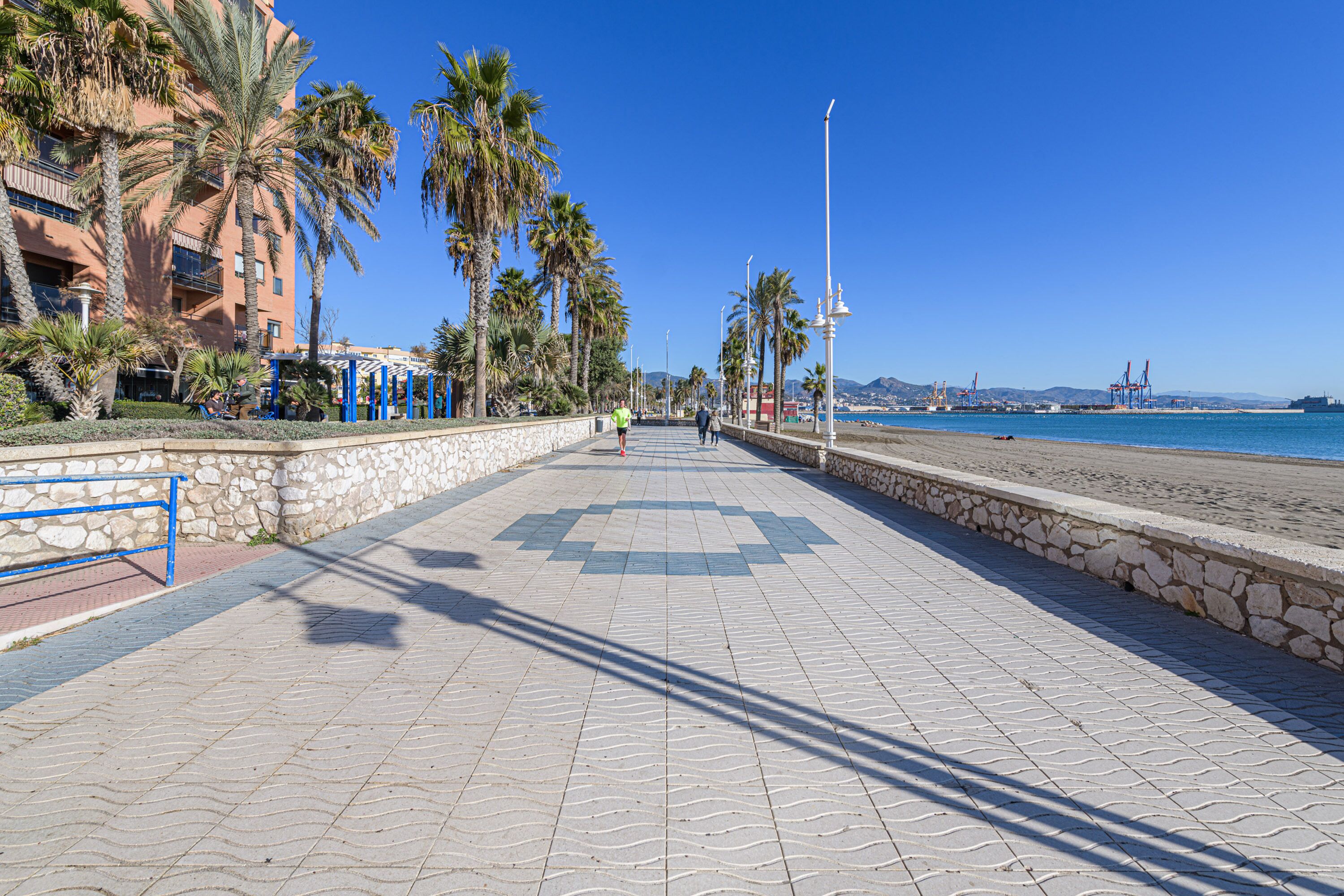 A paved walkway with palm trees, a stone wall, and a bench.