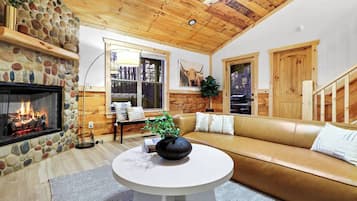 Smart-TV, Kamin, Videospiele, Bücher